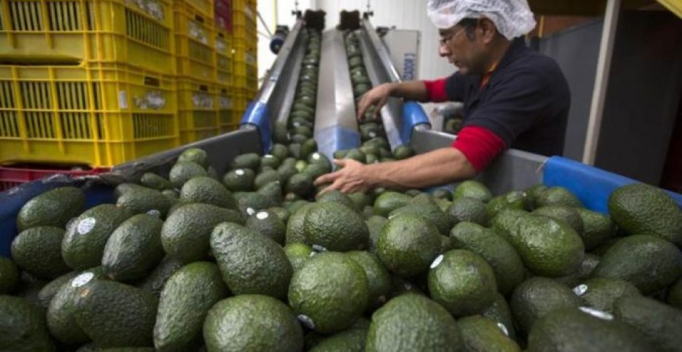 EEUU y México anuncian curso de remediación en RV Fresh Foods