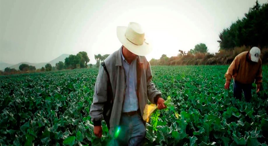 En 39% municipios de Puebla todos trabajan en la informalidad laboral